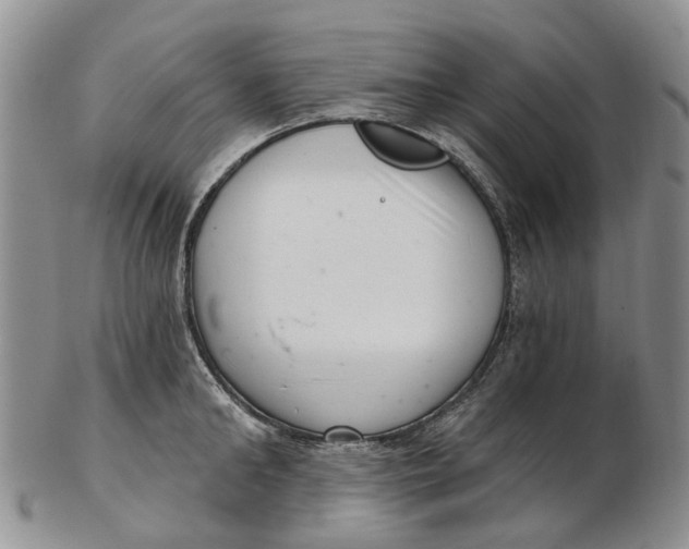 X0000102800902200809081109