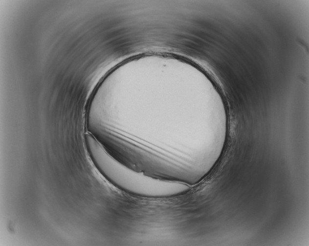 X0000102800903200809081109