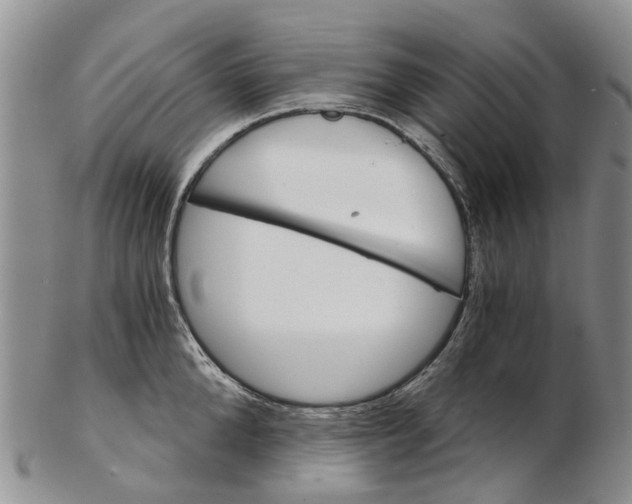 X0000102800904200809081109