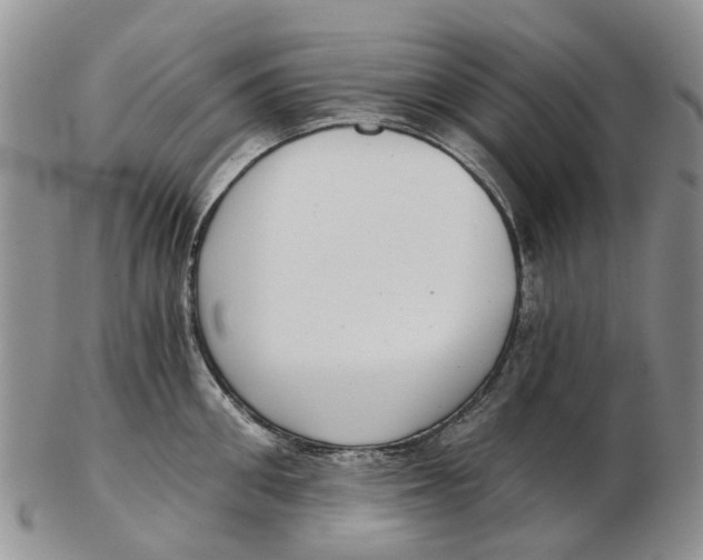 X0000102800906200809081109