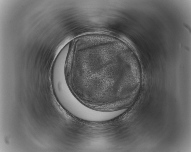 X0000102800907200809081109