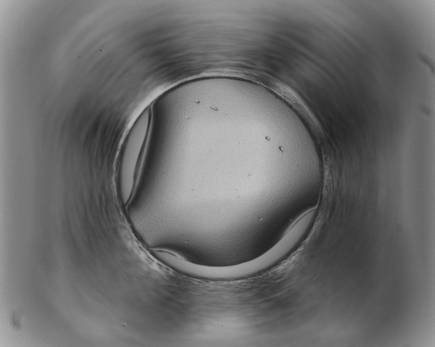 X0000102800908200809081109