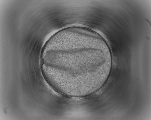 X0000102800910200809081109