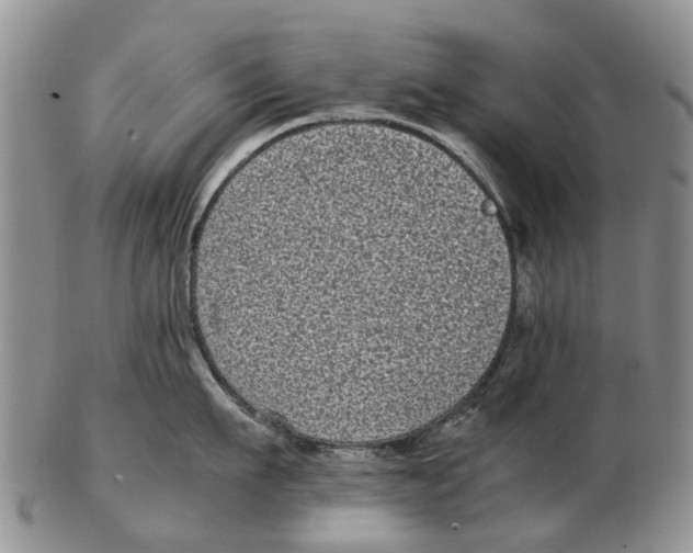 X0000102800911200809081109