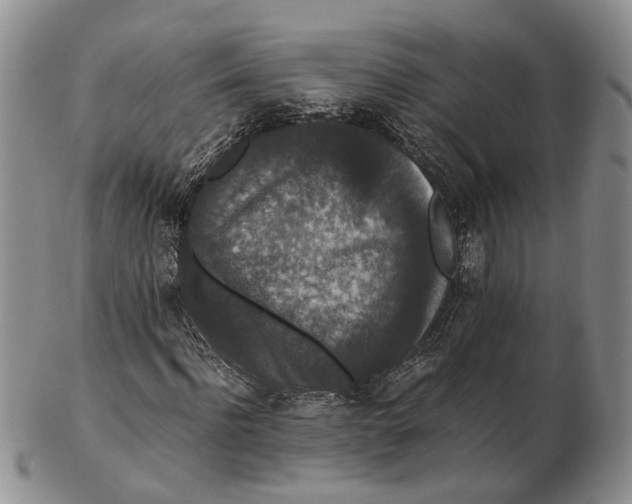 X0000102800916200809081109