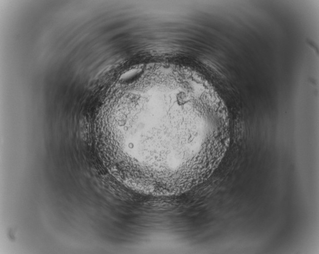 X0000102800917200809081109