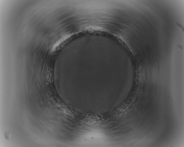 X0000102800919200809081109