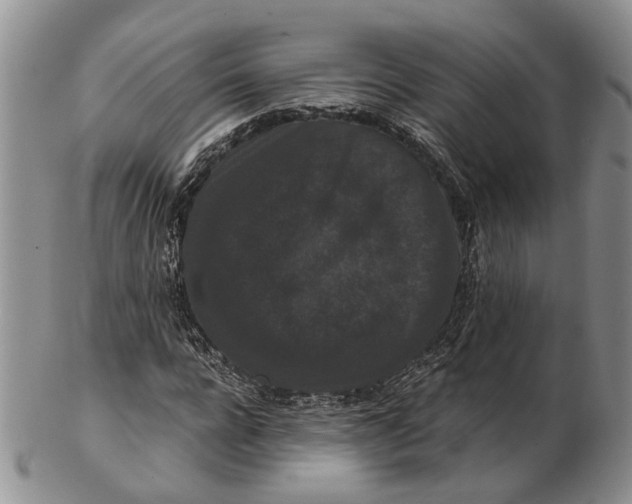 X0000102800920200809081109