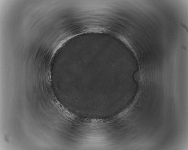 X0000102800923200809081109