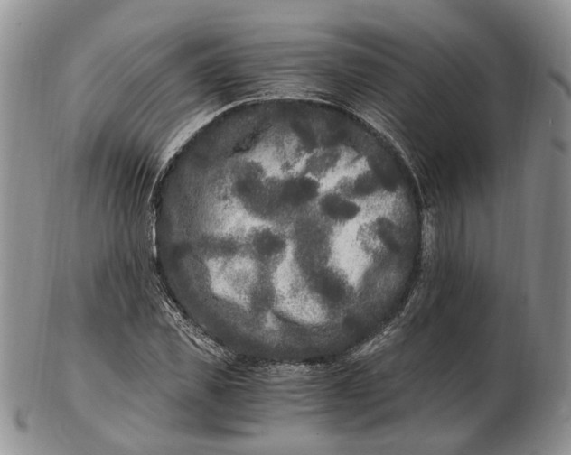 X0000102800925200809081109