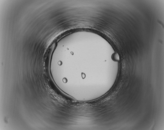 X0000102800926200809081109