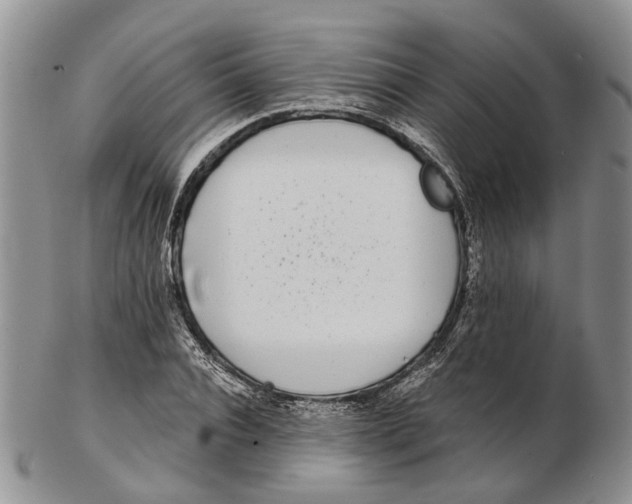 X0000102800928200809081109