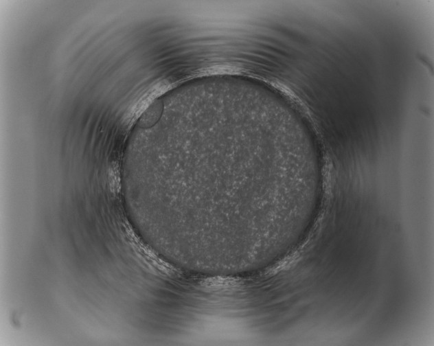 X0000102800929200809081109