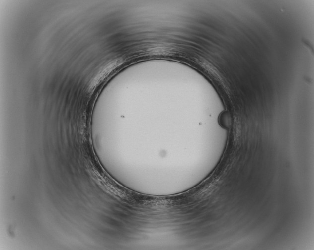 X0000102800930200809081109