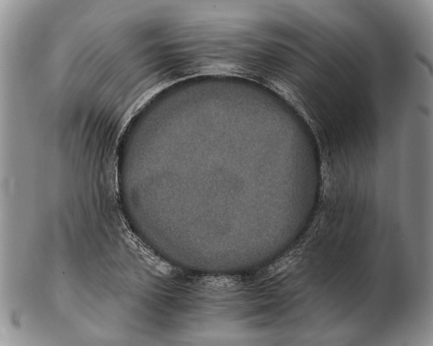 X0000102800931200809081109