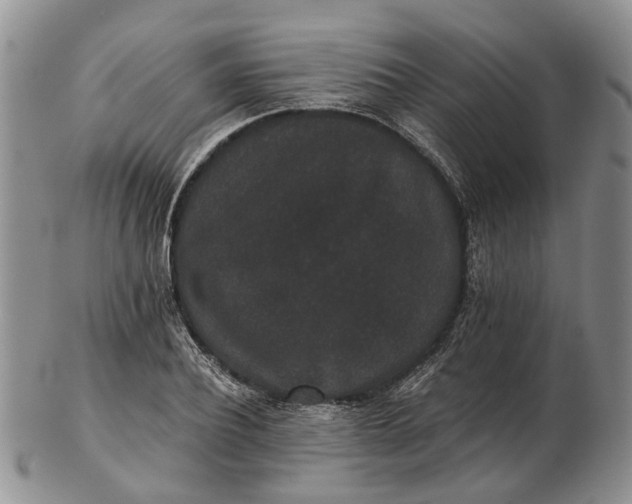 X0000102800932200809081109