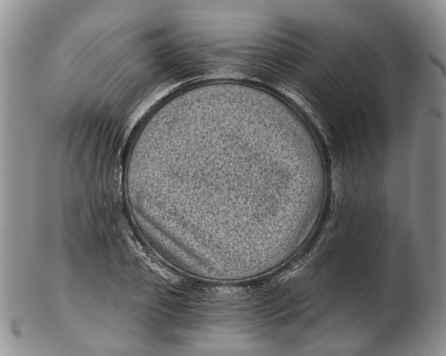 X0000102800933200809081109