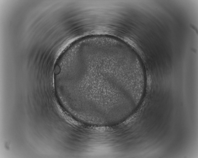 X0000102800934200809081109