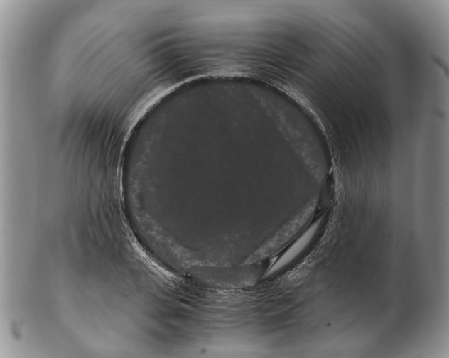 X0000102800935200809081109