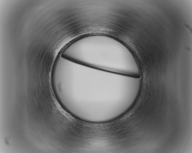 X0000102800936200809081109