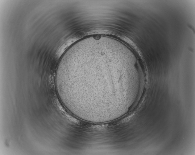 X0000102800937200809081109