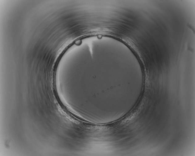 X0000102800941200809081109