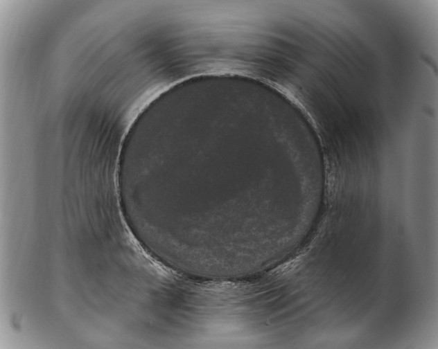 X0000102800943200809081109