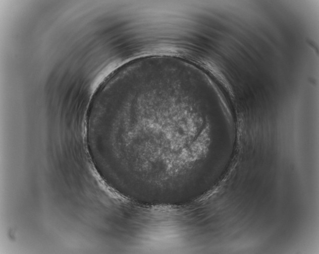 X0000102800944200809081109