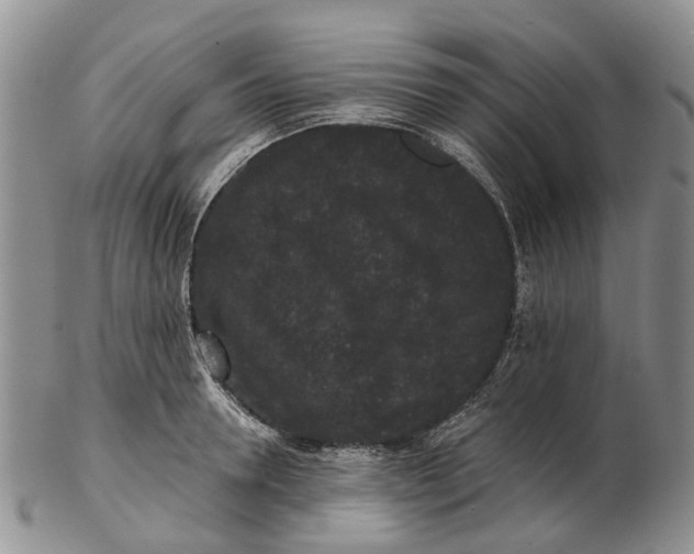 X0000102800946200809081109