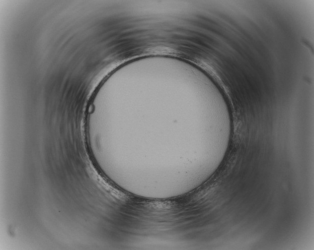 X0000102800947200809081109