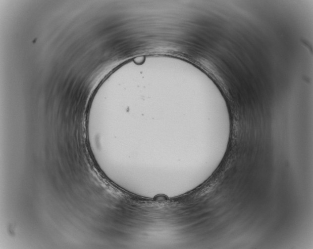 X0000102800948200809081109