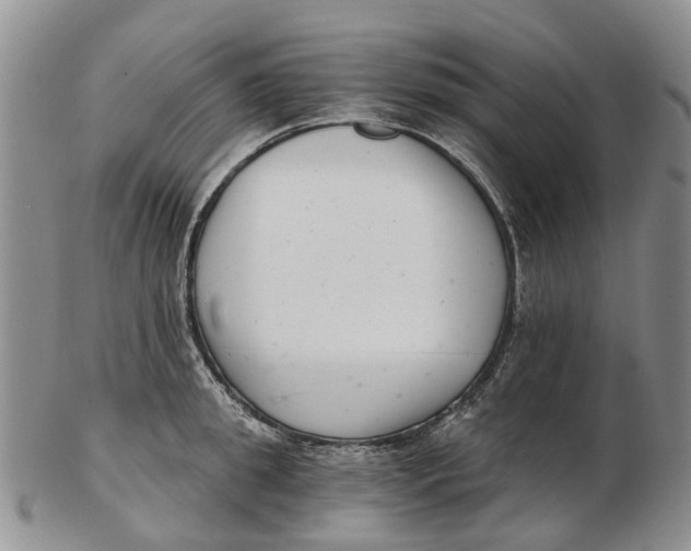 X0000102800949200809081109