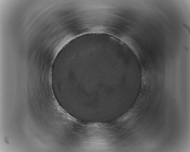 X0000102800950200809081109