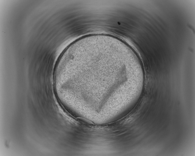 X0000102800951200809081109