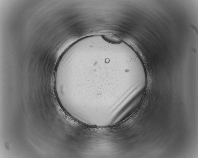 X0000102800952200809081109