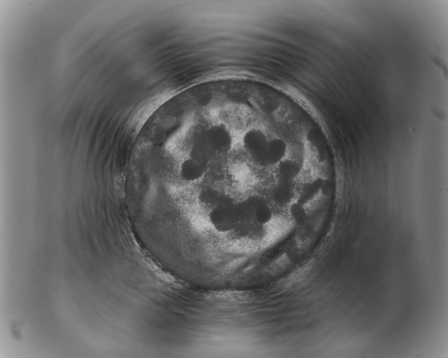 X0000102800953200809081109