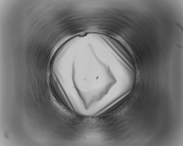 X0000102800955200809081109