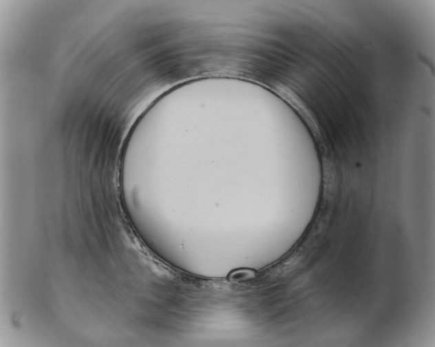 X0000102800956200809081109