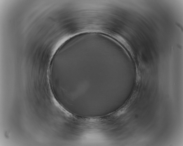 X0000102800958200809081109