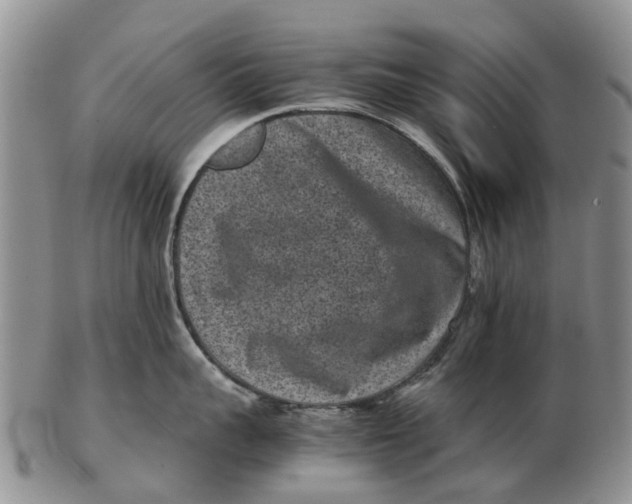 X0000102800959200809081109