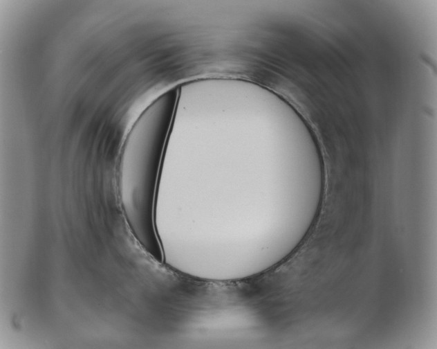 X0000102800960200809081109