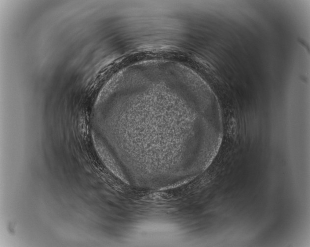 X0000102800966200809081108