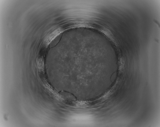 X0000102800969200809081108