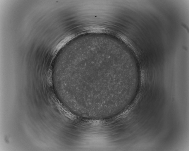 X0000102800970200809081108