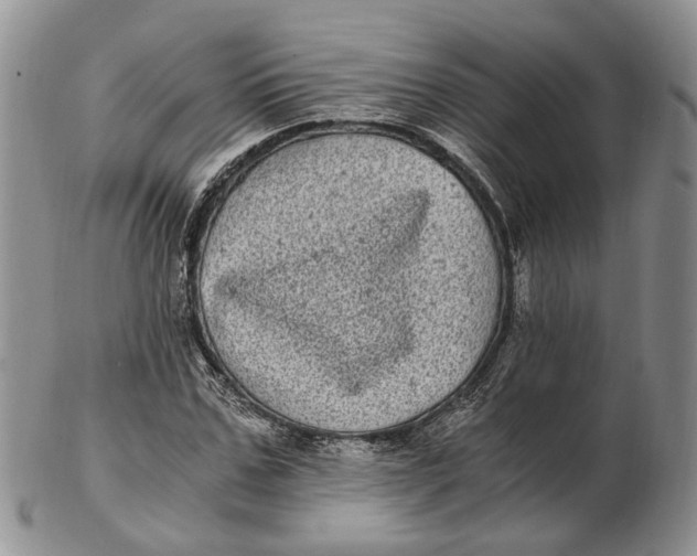 X0000102800971200809081108