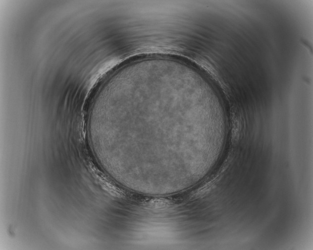 X0000102800974200809081108