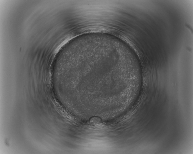 X0000102800975200809081108