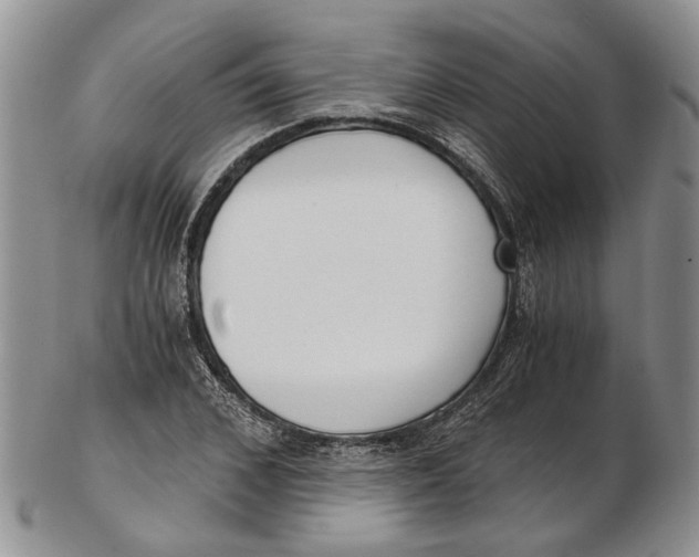 X0000102800976200809081108