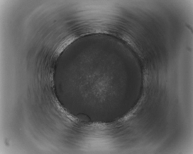 X0000102800977200809081108