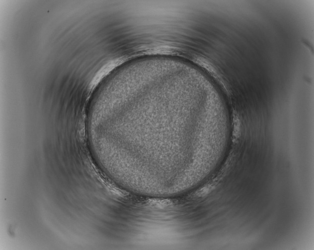 X0000102800978200809081108